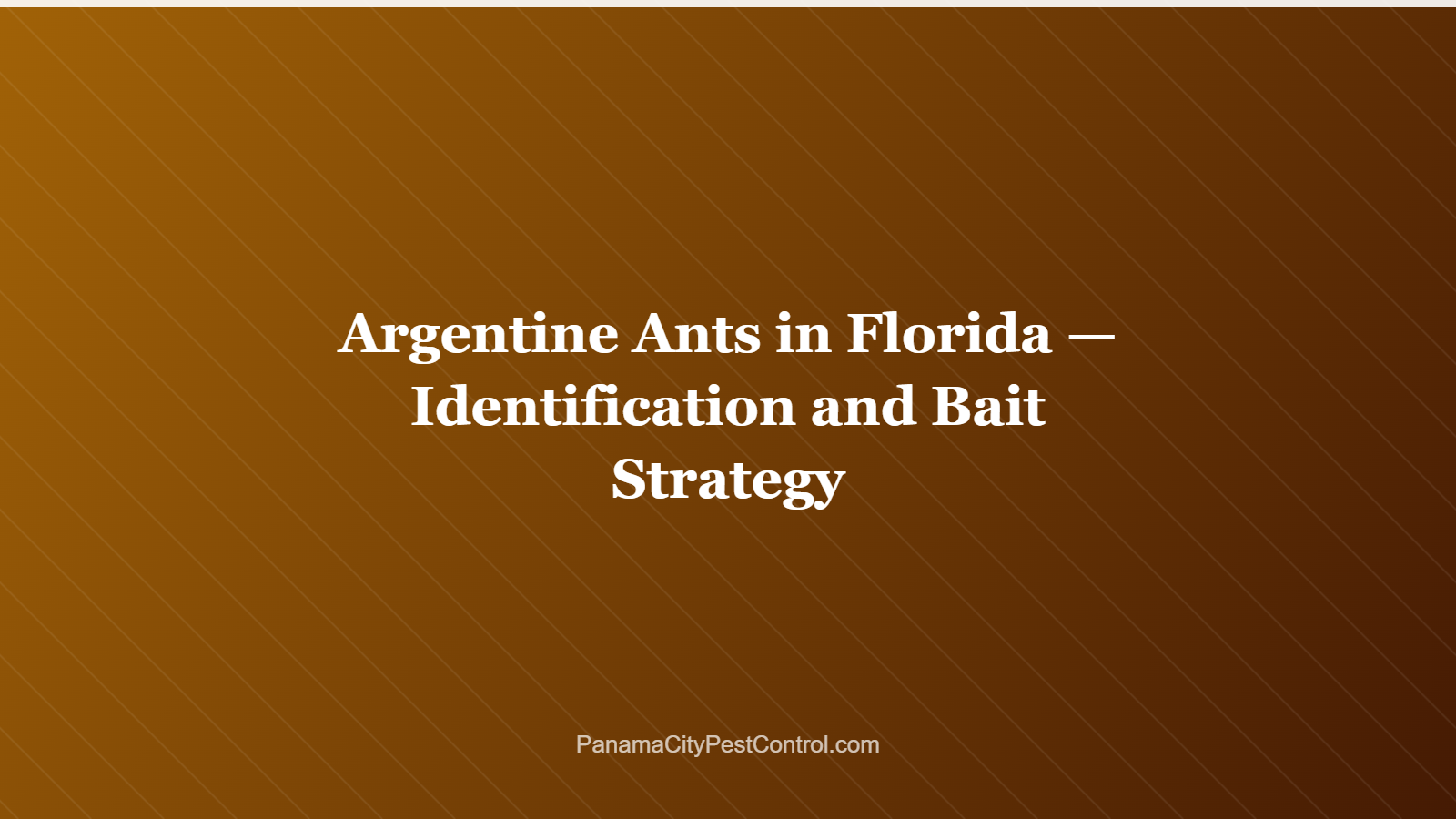 Argentine Ants in Florida — Identification and Bait Strategy