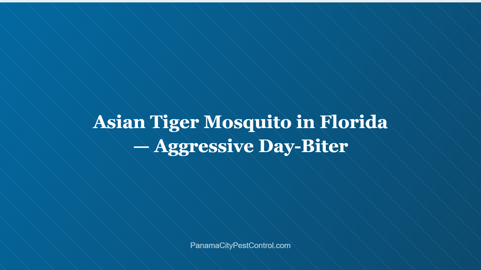 Asian Tiger Mosquito in Florida — Aggressive Day-Biter