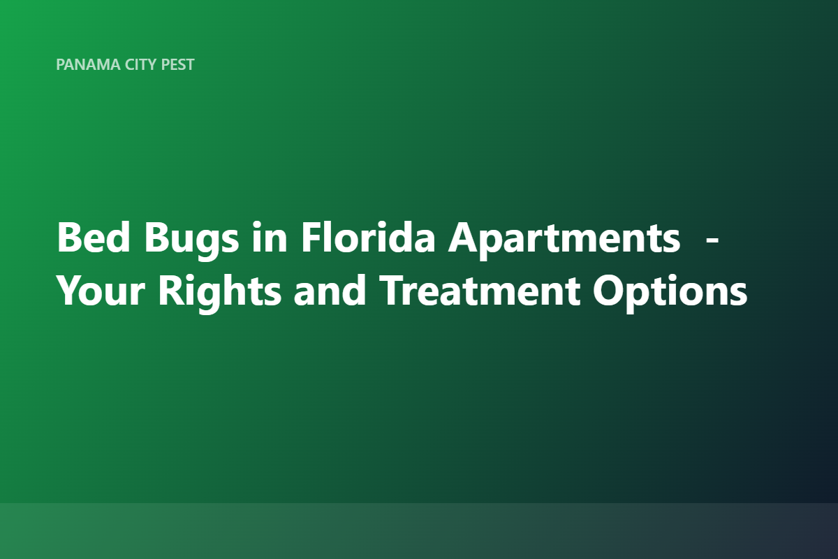 Bed Bugs in Florida Apartments — Your Rights and Treatment Options