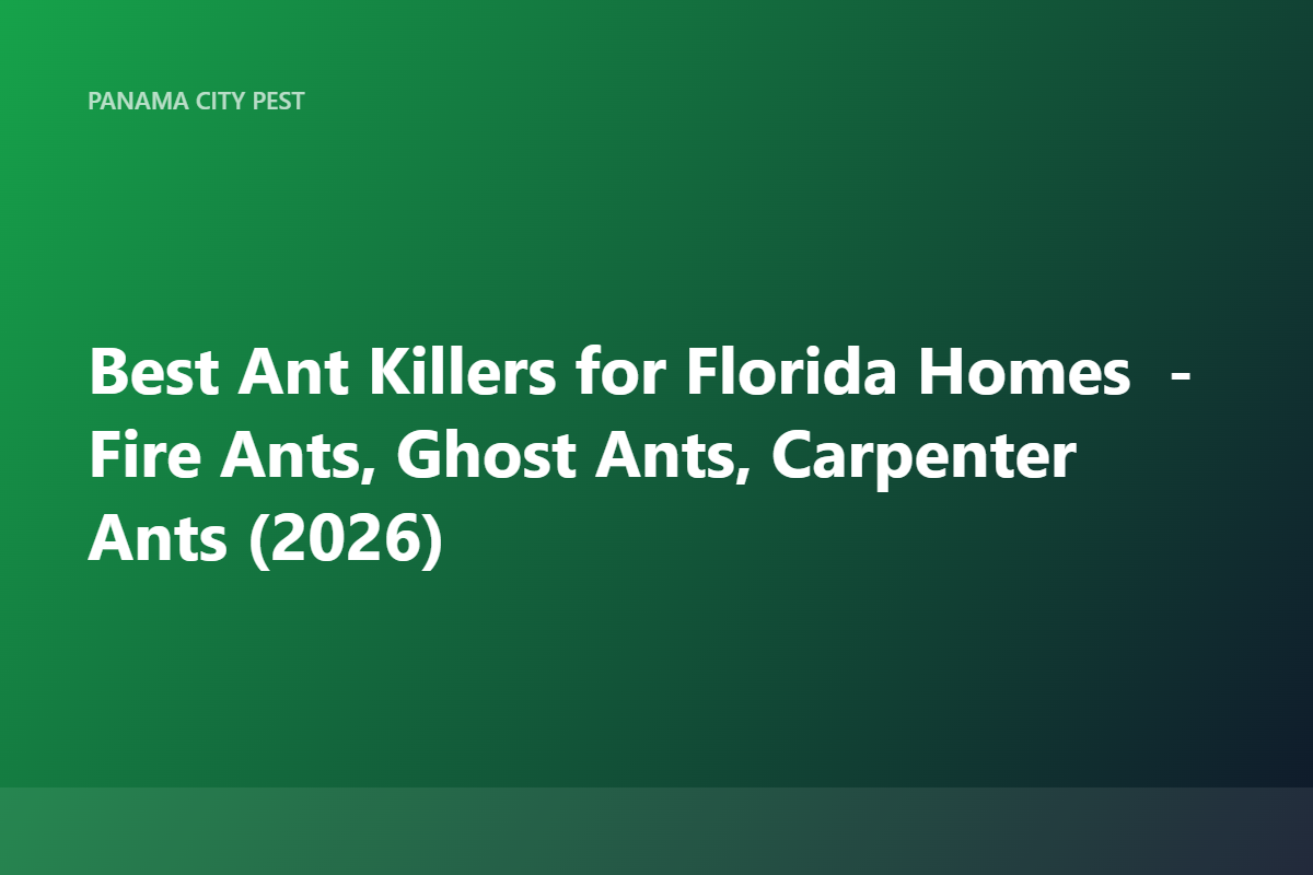 Best Ant Killers for Florida Homes — Fire Ants, Ghost Ants, Carpenter Ants (2026)