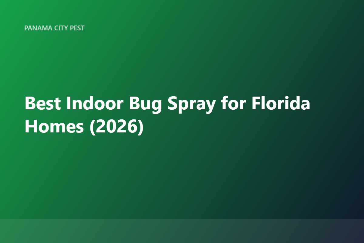Best Indoor Bug Spray for Florida Homes (2026)