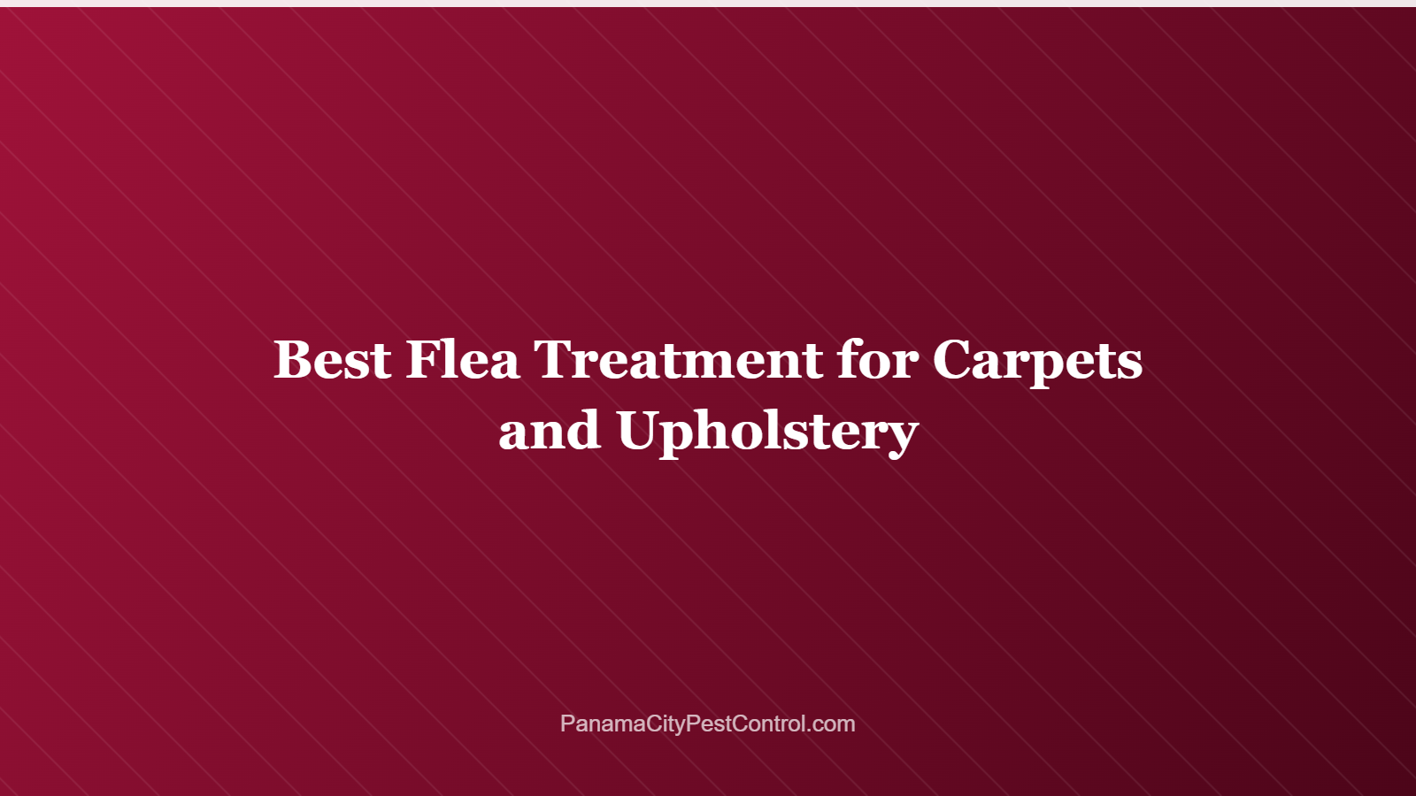 Best Flea Treatment for Carpets and Upholstery