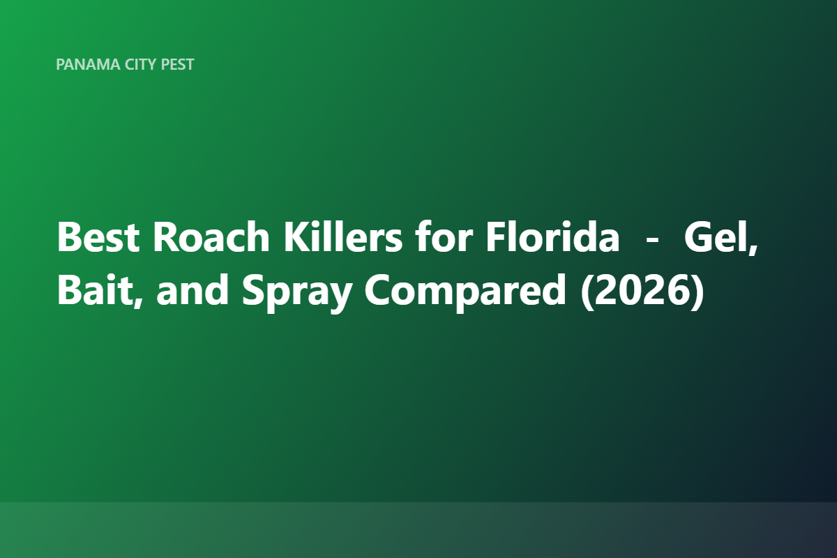 Best Roach Killers for Florida — Gel, Bait, and Spray Compared (2026)