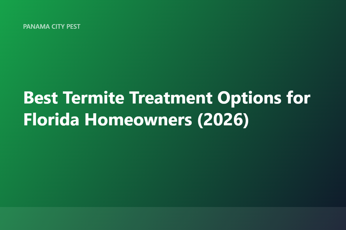 Best Termite Treatment Options for Florida Homeowners (2026)