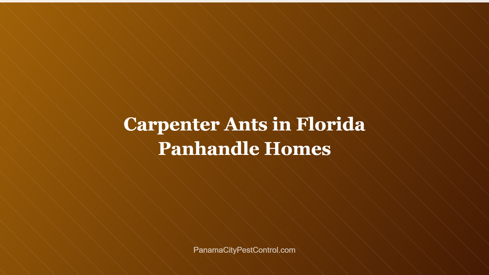 Carpenter Ants in Florida Panhandle Homes