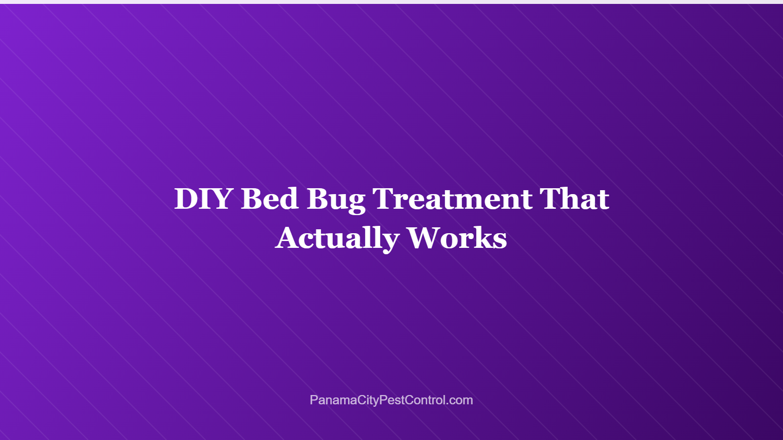 DIY Bed Bug Treatment That Actually Works