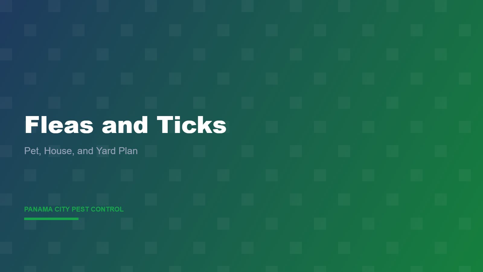 Fleas and Ticks in the Florida Panhandle: Pet, House, and Yard Plan