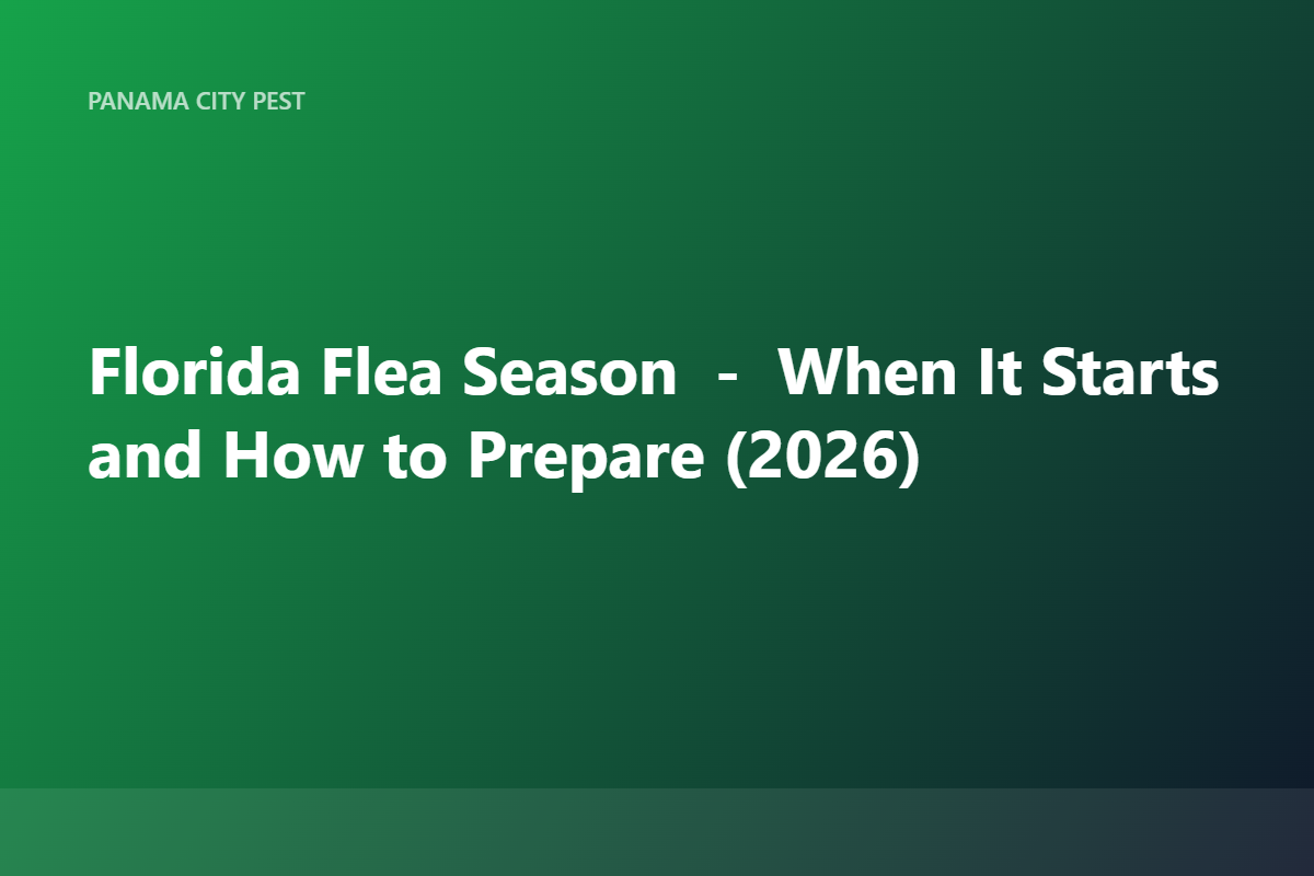 Florida Flea Season — When It Starts and How to Prepare (2026)