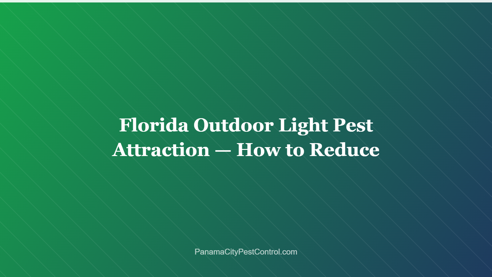 Florida Outdoor Light Pest Attraction — How to Reduce