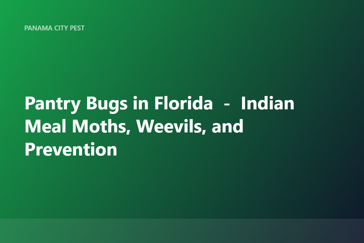 Pantry Bugs in Florida — Indian Meal Moths, Weevils, and Prevention