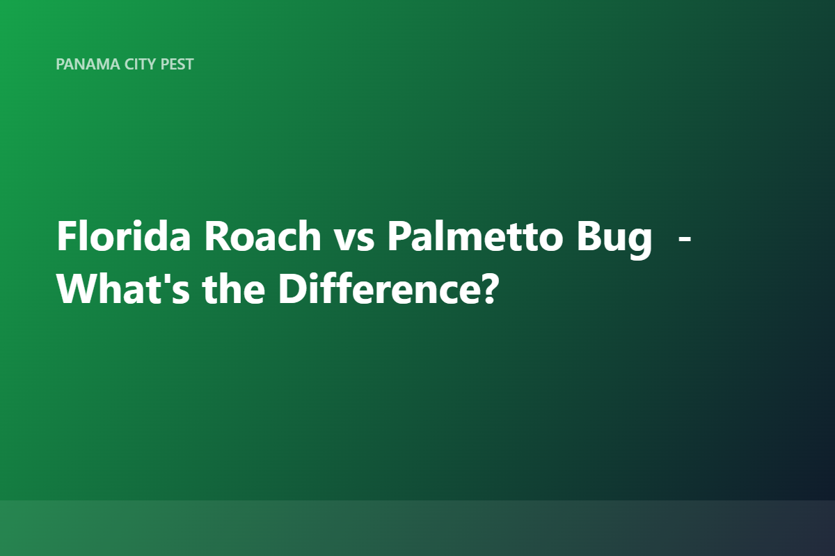 Florida Roach vs Palmetto Bug — What’s the Difference?