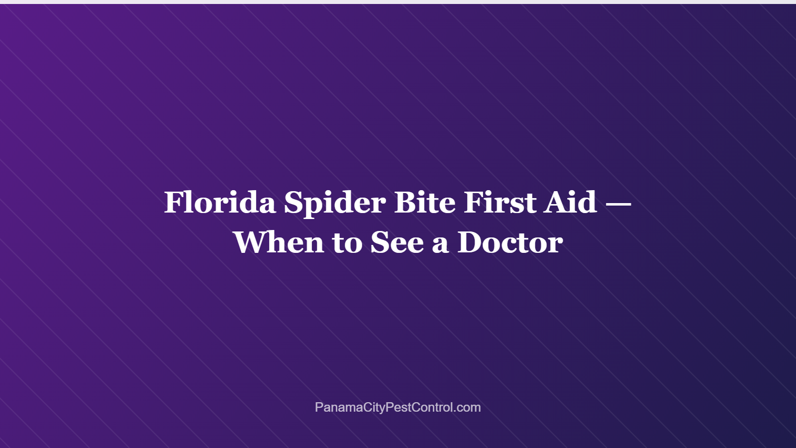 Florida Spider Bite First Aid — When to See a Doctor