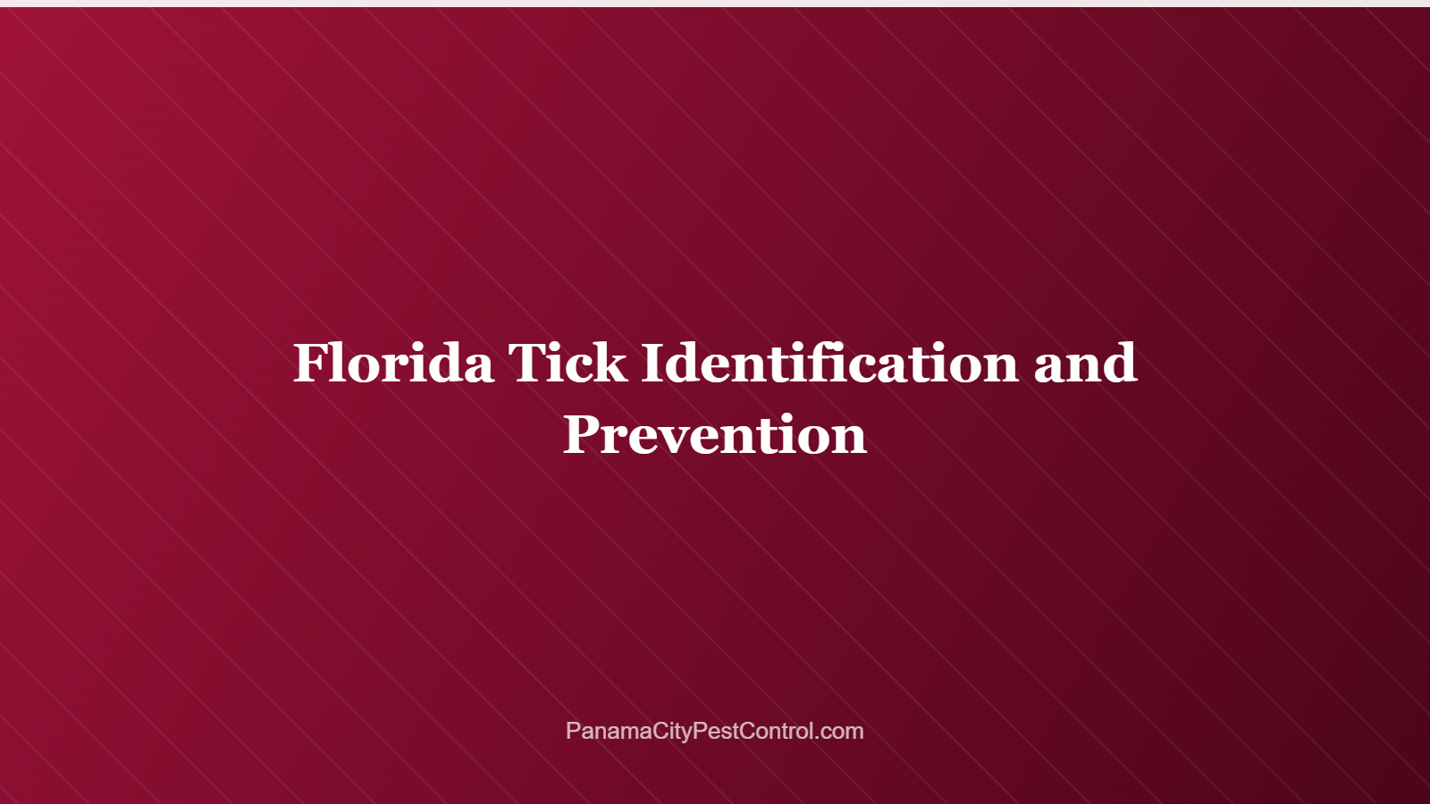 Florida Tick Identification and Prevention
