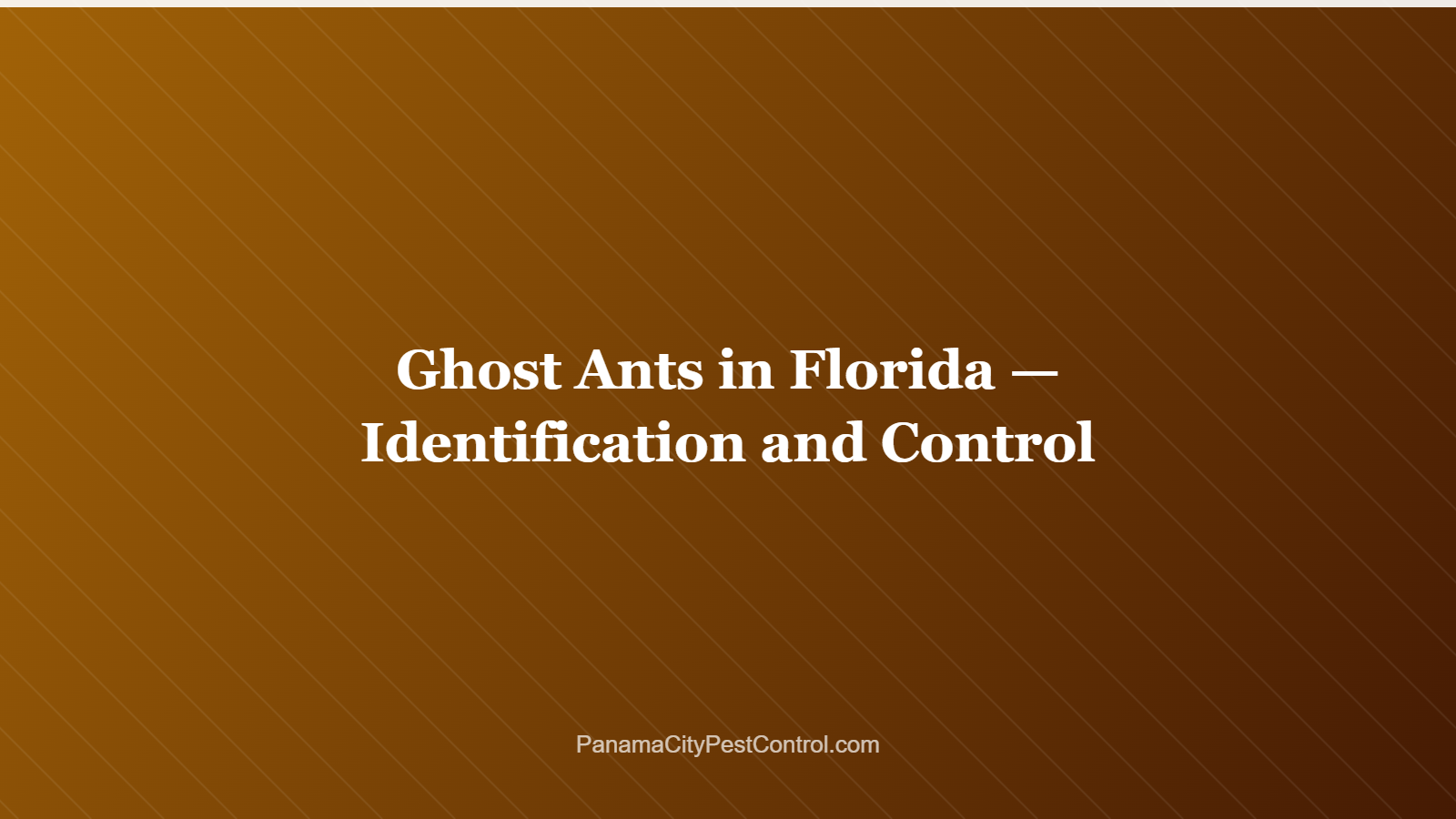 Ghost Ants in Florida — Identification and Control