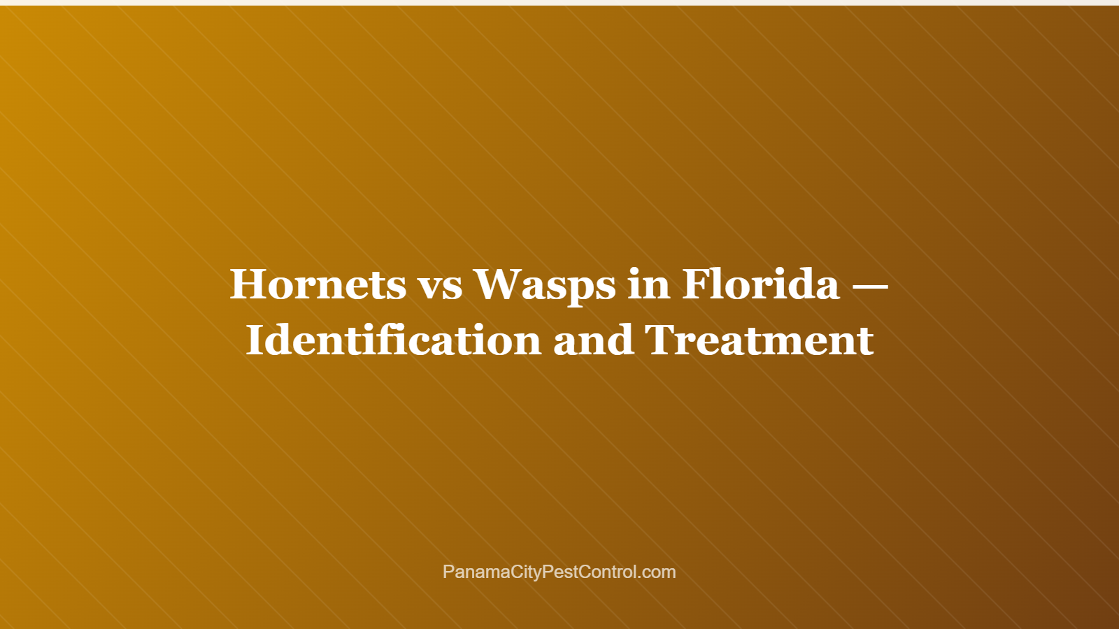 Hornets vs Wasps in Florida — Identification and Treatment