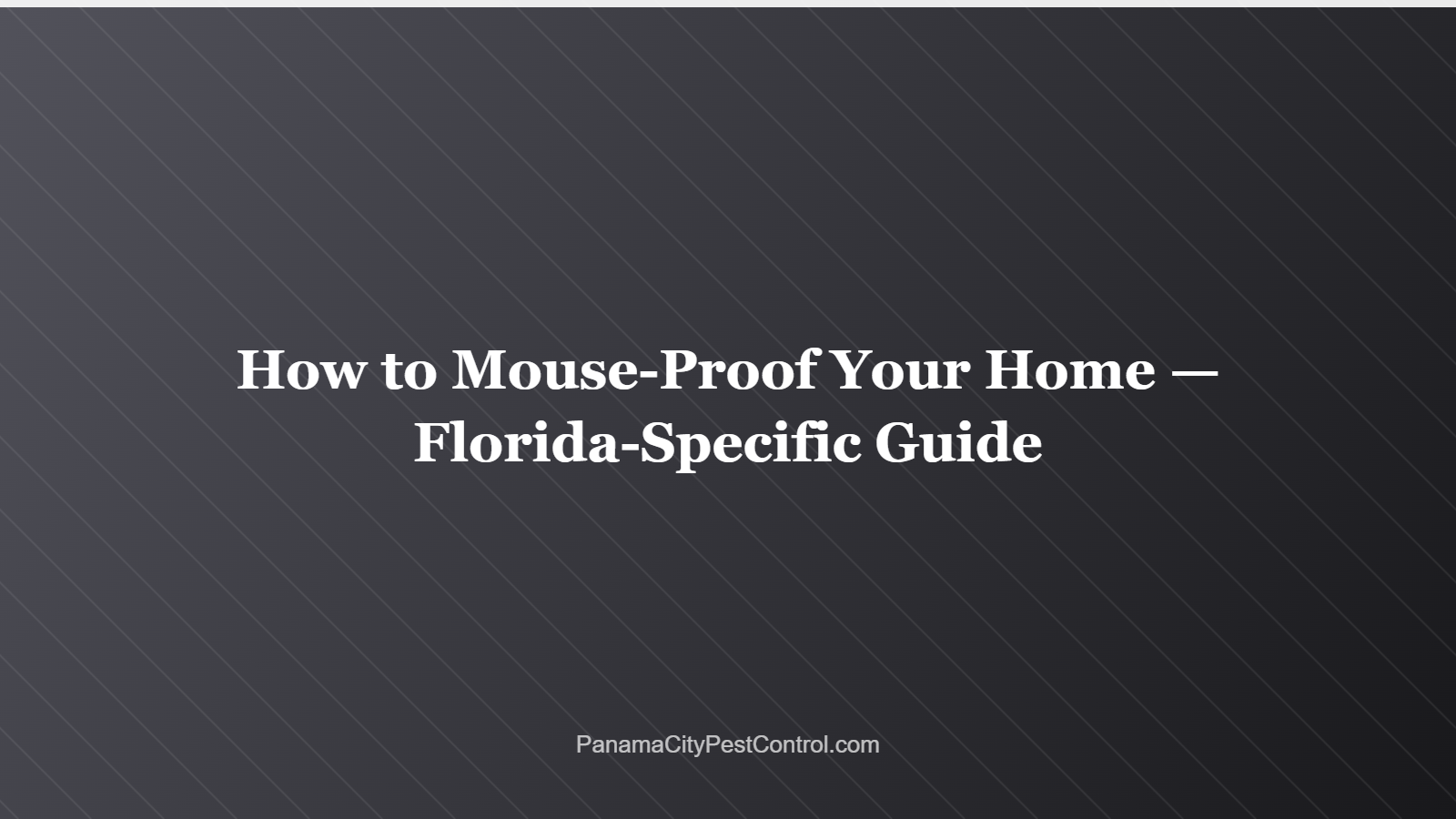 How to Mouse-Proof Your Home — Florida-Specific Guide