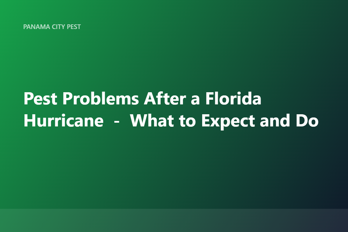 Pest Problems After a Florida Hurricane — What to Expect and Do