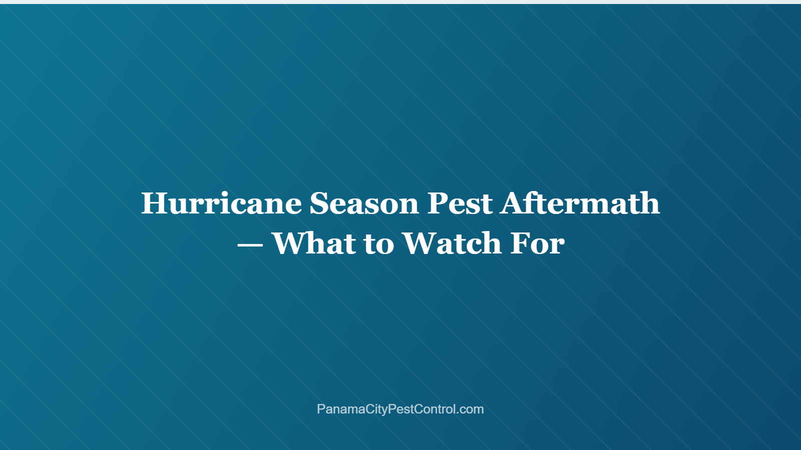 Hurricane Season Pest Aftermath — What to Watch For