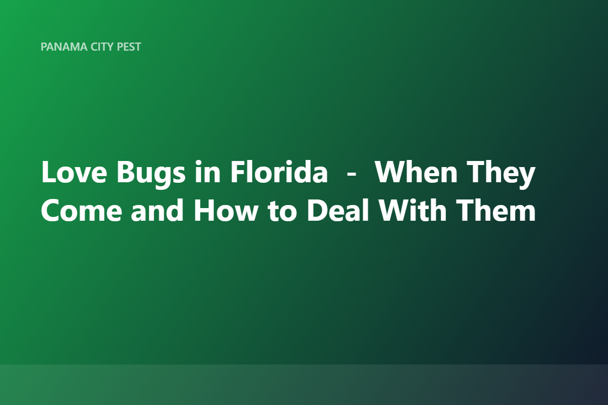 Love Bugs in Florida — When They Come and How to Deal With Them