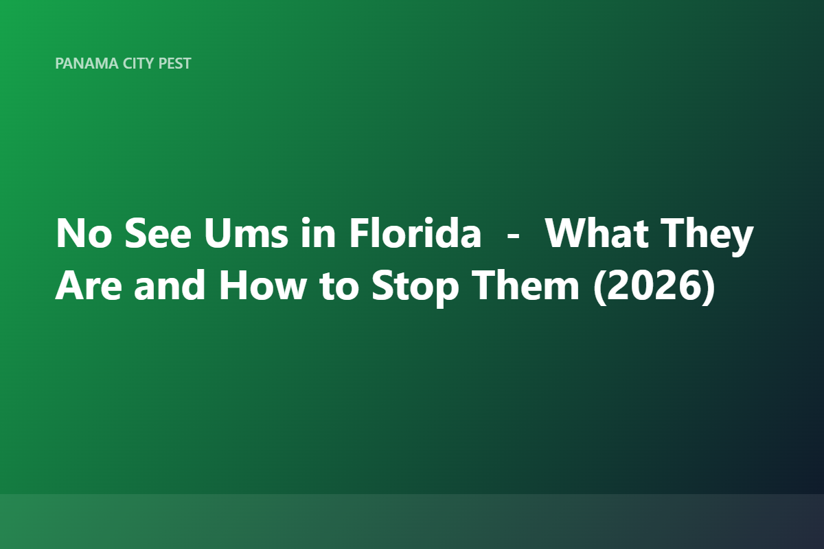 No See Ums in Florida — What They Are and How to Stop Them (2026)