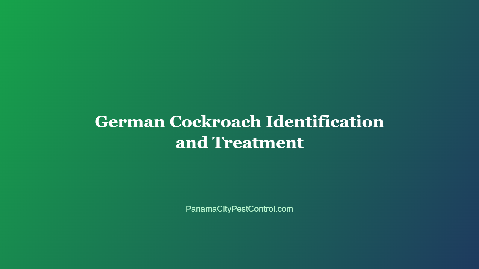 German Cockroach Identification and Treatment in Panama City