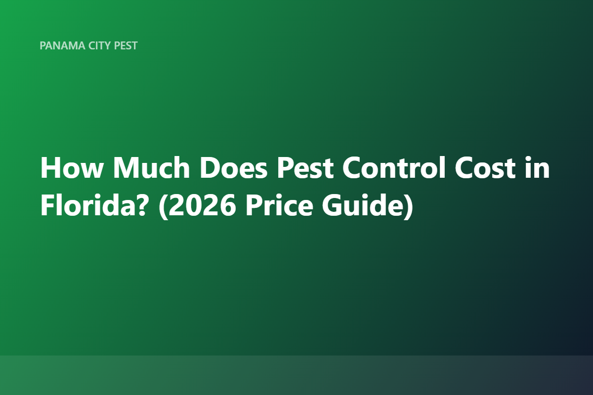 How Much Does Pest Control Cost in Florida? (2026 Price Guide)