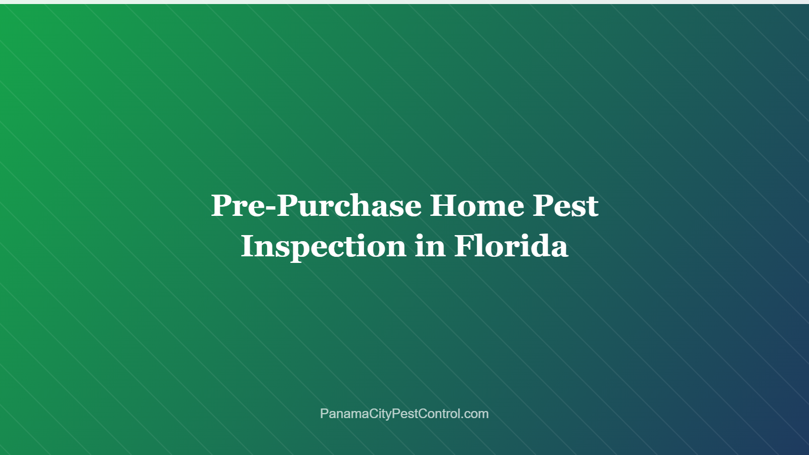 Pre-Purchase Home Pest Inspection in Florida
