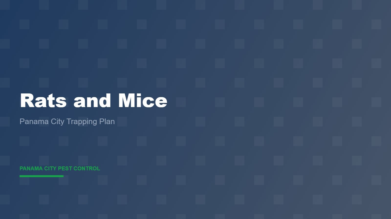 How to Get Rid of Rats and Mice in Panama City Homes