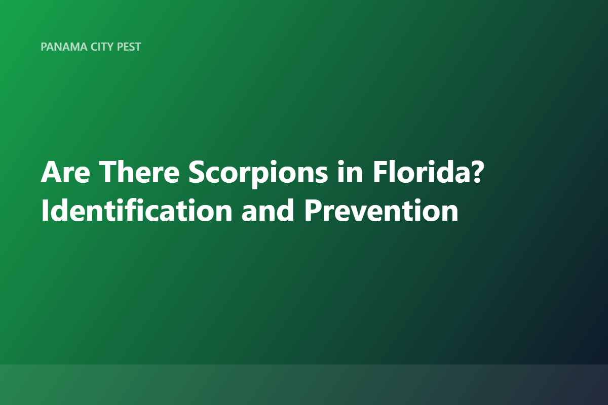 Are There Scorpions in Florida? Identification and Prevention