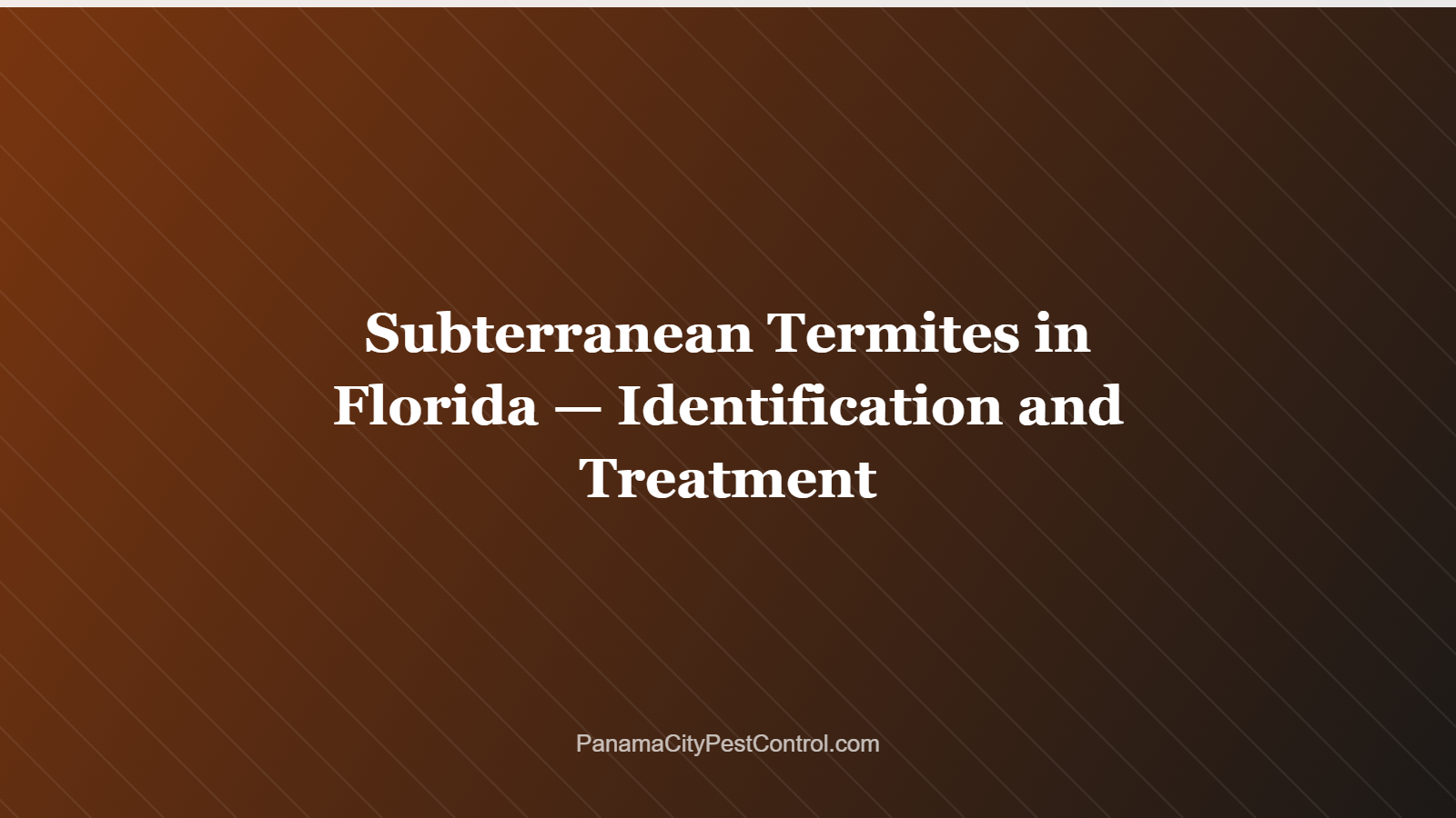 Subterranean Termites in Florida — Identification and Treatment