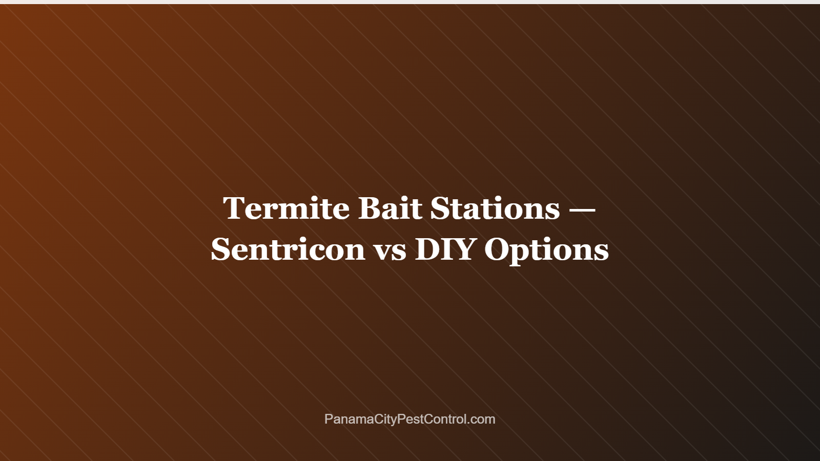 Termite Bait Stations — Sentricon vs DIY Options