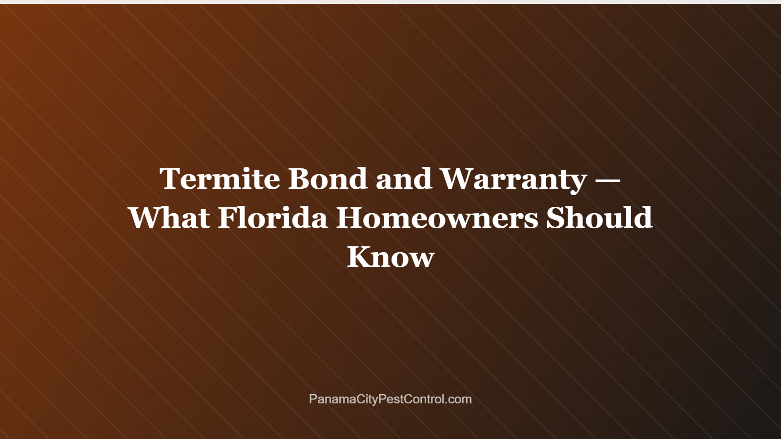 Termite Bond and Warranty — What Florida Homeowners Should Know
