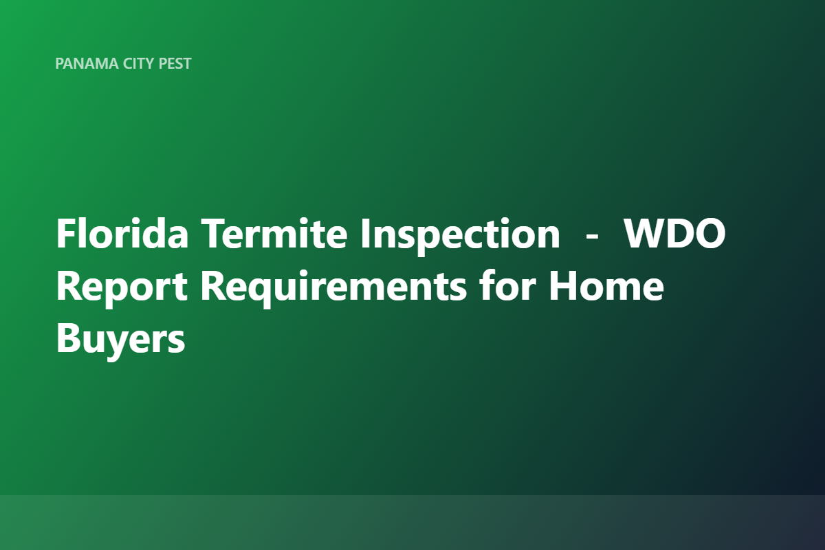 Florida Termite Inspection — WDO Report Requirements for Home Buyers