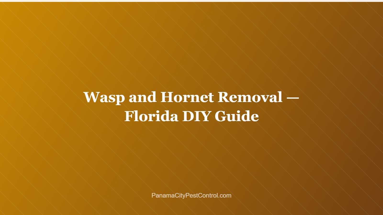Wasp and Hornet Removal — Florida DIY Guide