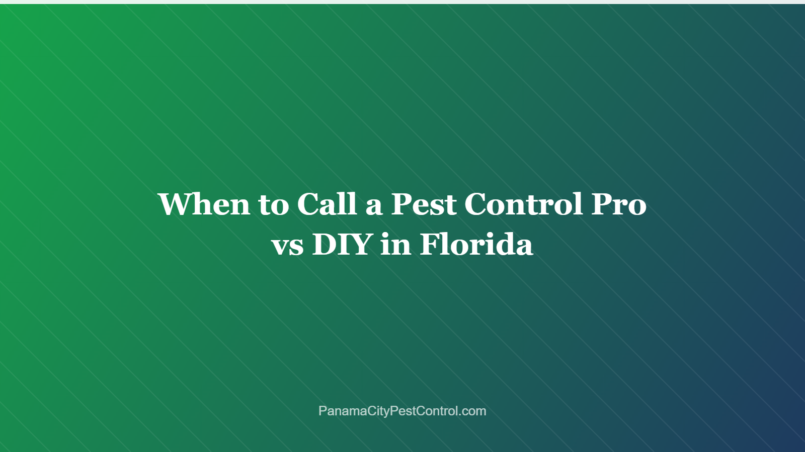 When to Call a Pest Control Pro vs DIY in Florida