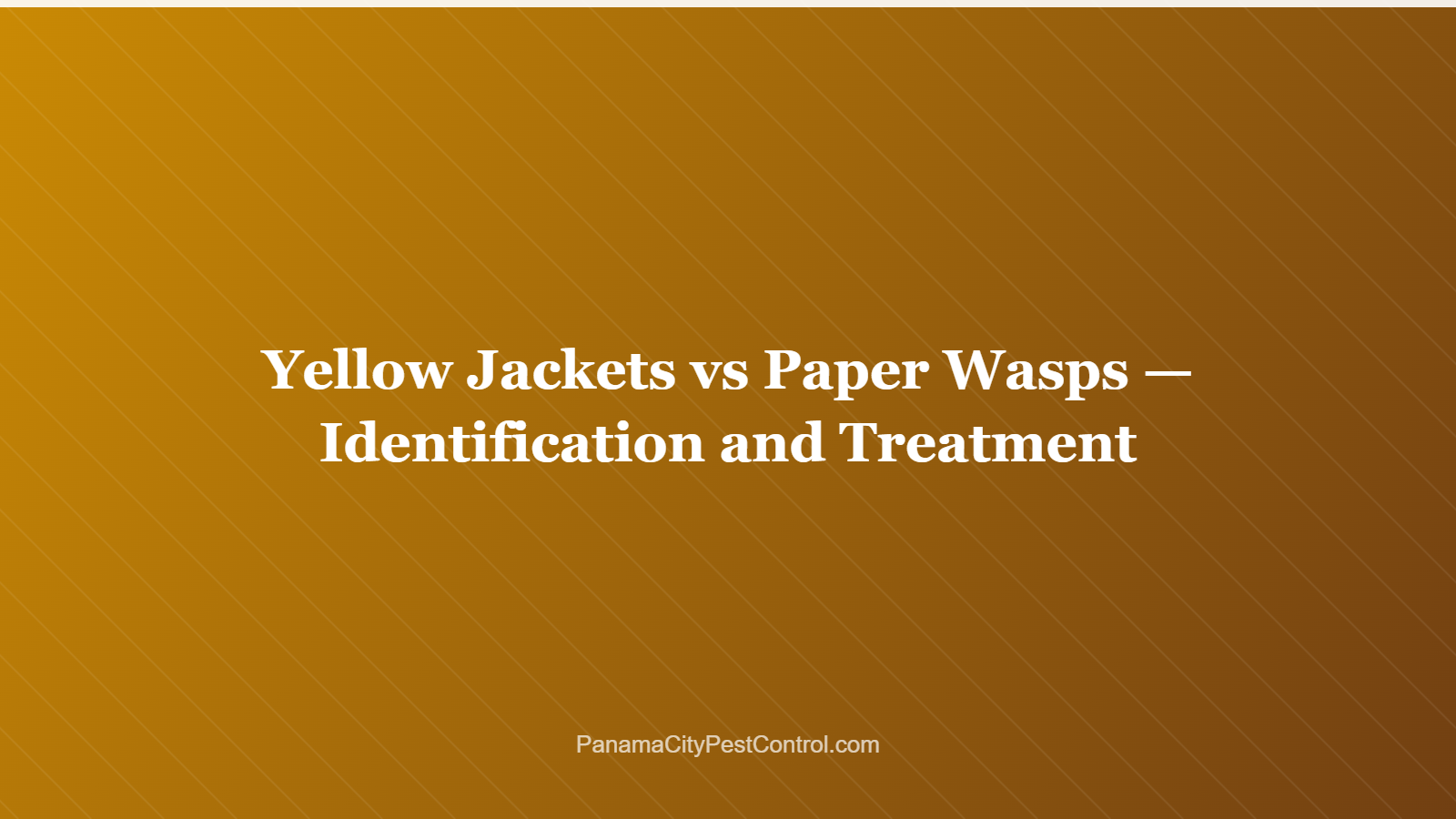 Yellow Jackets vs Paper Wasps — Identification and Treatment